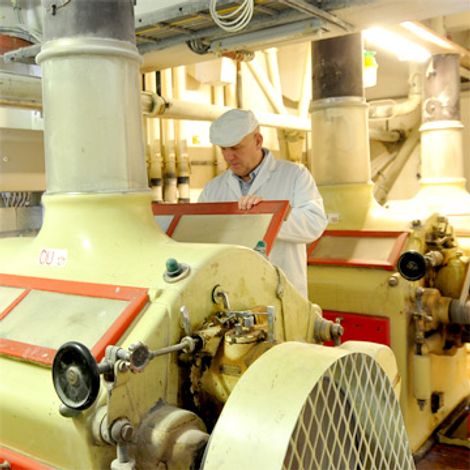 Molens van Oudenaarde bvba