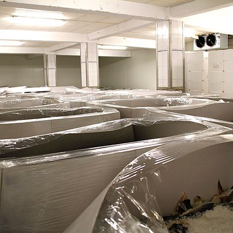 JOHAN B. LARSEN FISK AS - Storage