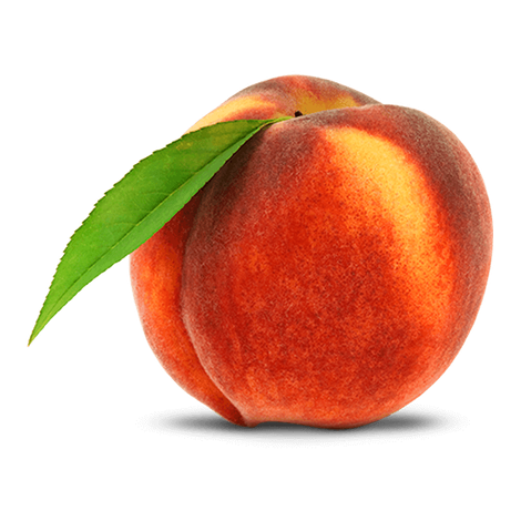 Tastyfrutti International Inc
