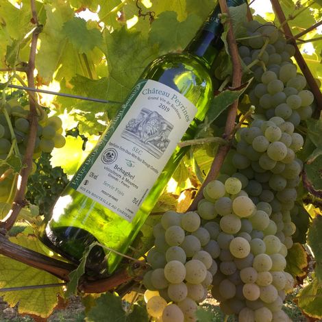 Château Peyrines_Blanc Sec_White Wine