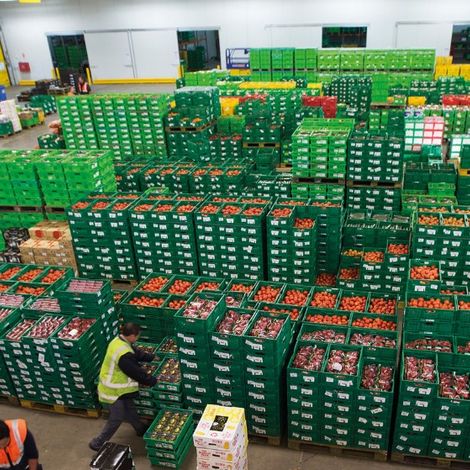 Te Mata Exports