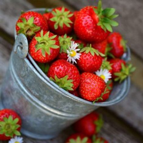 ML Fruit Farm d.o.o. - Product