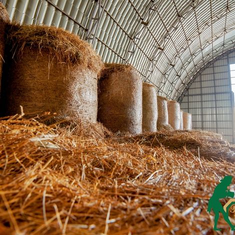 Farm