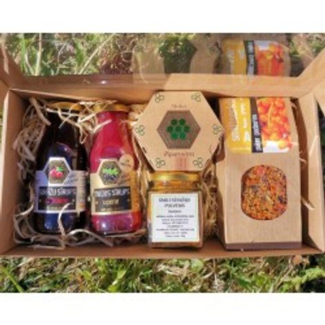Green Hive Ltd.
