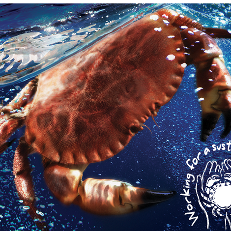 The Blue Sea Food Company