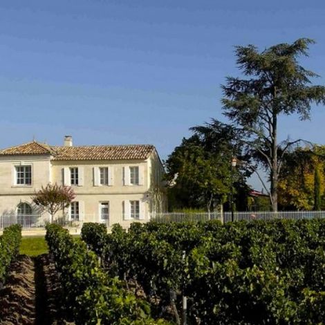 Château Le Bon Pasteur_Wines_Vineyard