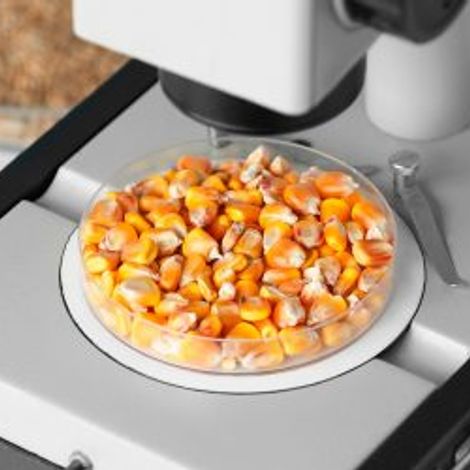 Semolina Azteca Milling