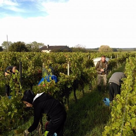 Château Lucas - People