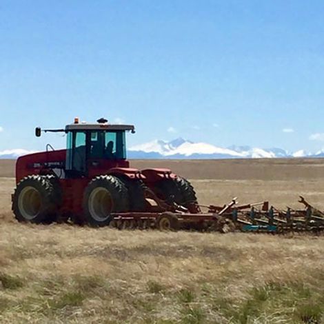 Golden Prairie Inc.