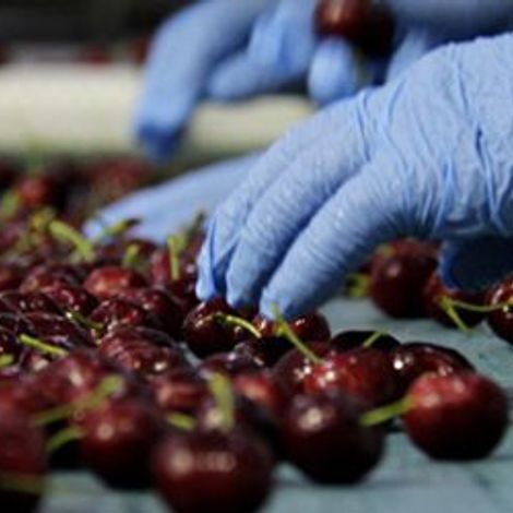 Exportadora Rancagua S.A.