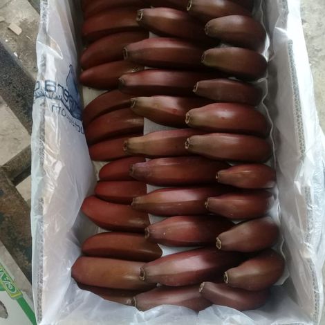 Red Banana