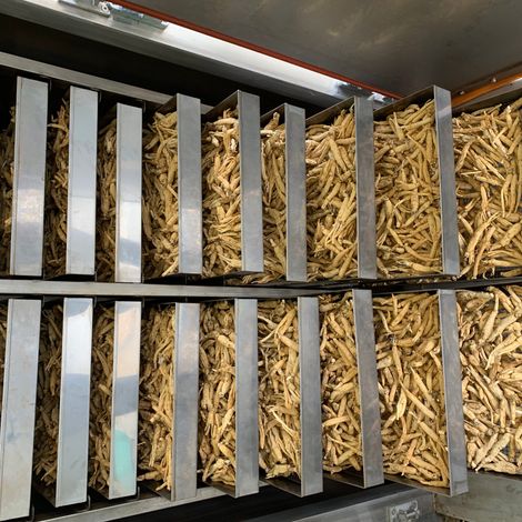 Ginseng production