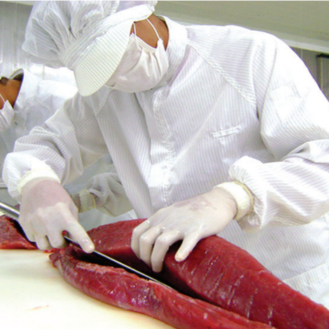 PhilFresh Corporation - Processing Area