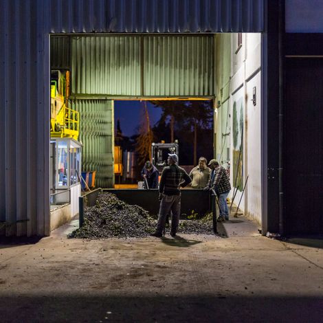 Est. Manuel da Silva Torrado & CA. (Irmãos), SA - Facility