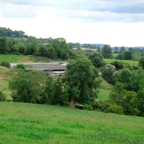 Sheepscombe Meat - Farm