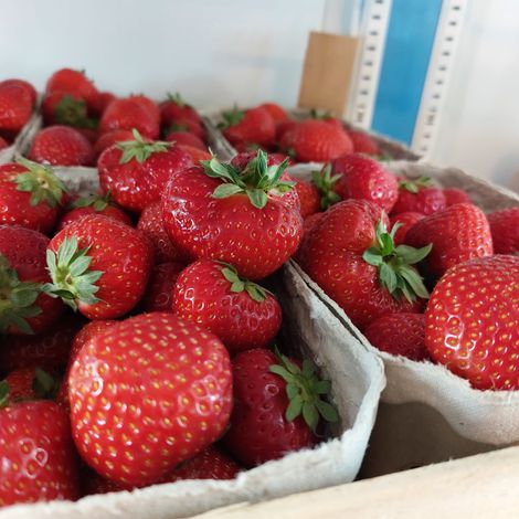 Gemüsehof Flachenecker