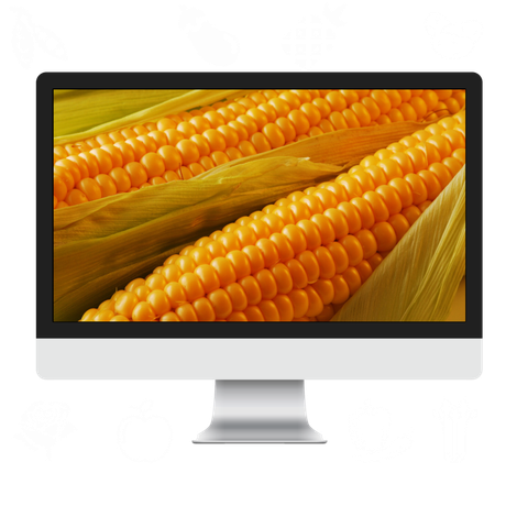 Strube-Above-The-Fold-Image.png