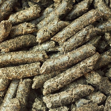 International Feed Worldwide