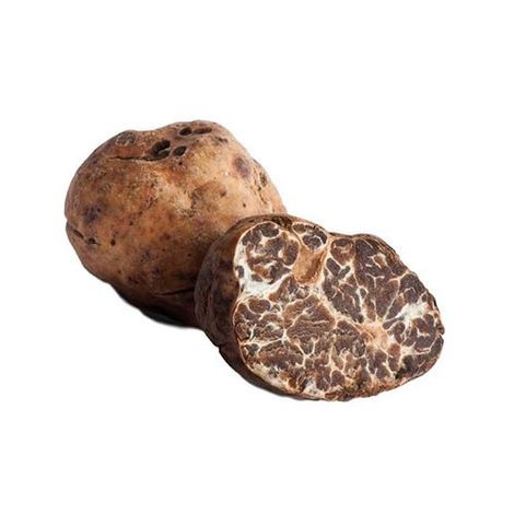 BIANCHETTO TRUFFLE (tuber borchii vitt)