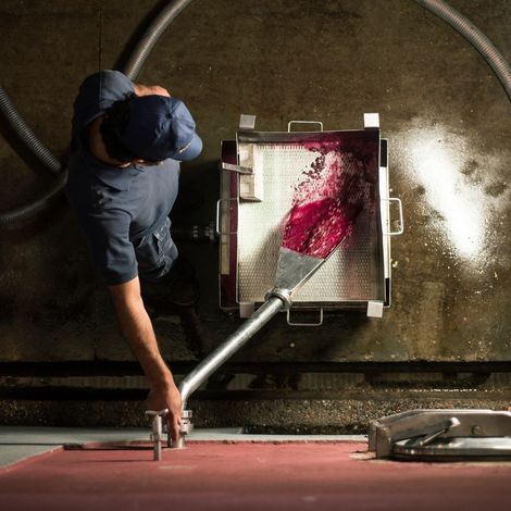 Benegas_Wine_Process