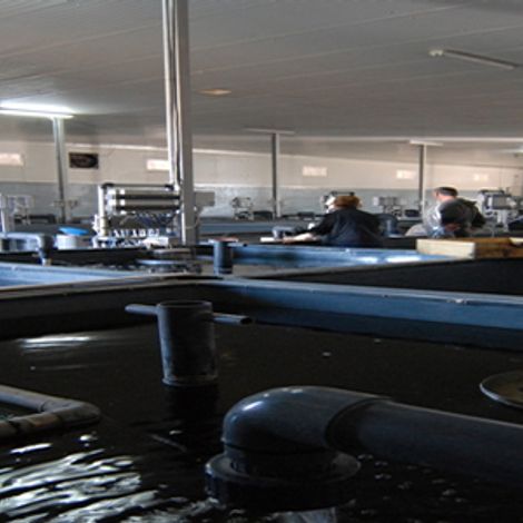 banner01new.jpg