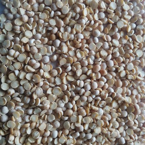 [Kruposvit]_[yellow pea]