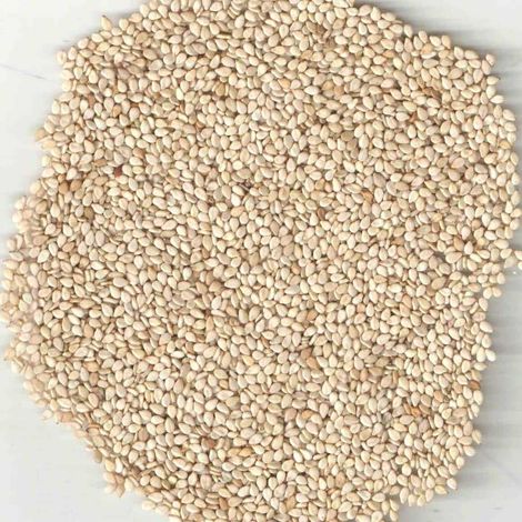 Humera Type Sesame