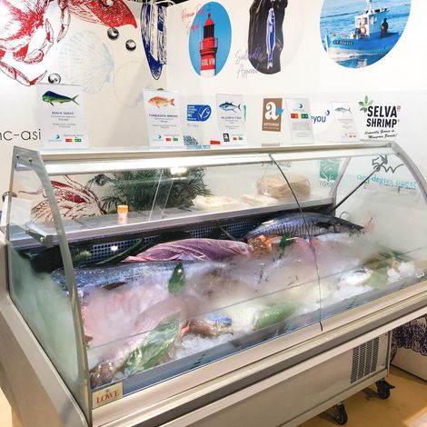 Meliomar, Inc. - Exhibition