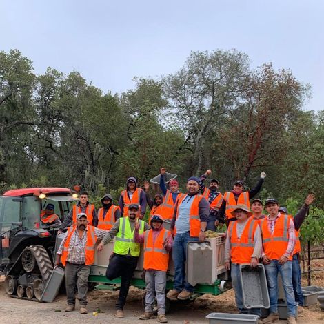 Vineyard Crew