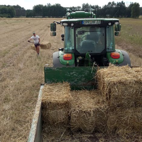 Föhrenlicht Bioland Farm