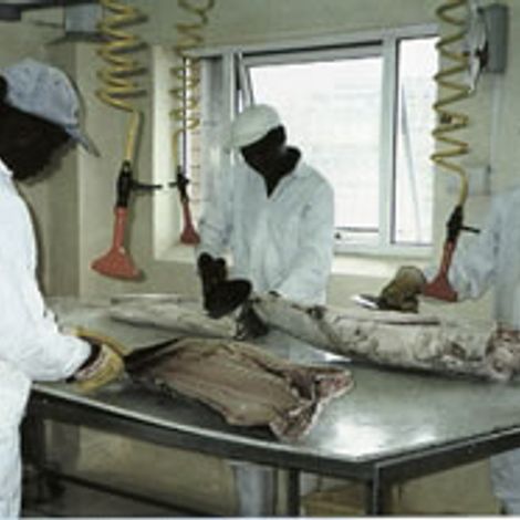 Y & L Fishing Enterprises (Pty) Ltd- Processing Area