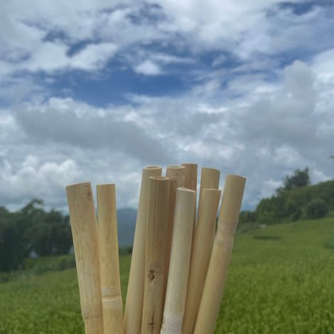 Disposable Reed Straws
