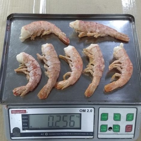 shrimp headless shell-on