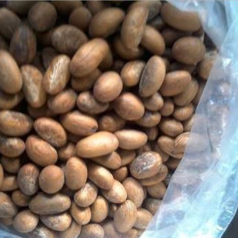 Bitter kola (Garcinia kola)