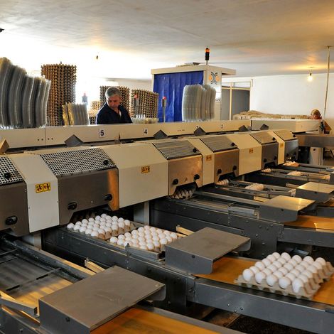 Production