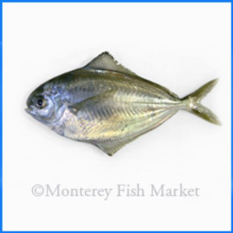 M.F.M. Seafood - Monterey Fish Market