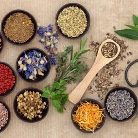 Gwendolyn's Garden LLC - Products