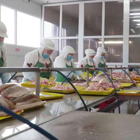 Production