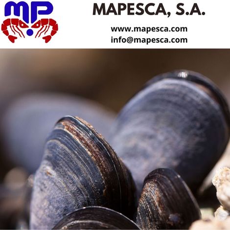 Mapesca S.A. - Product