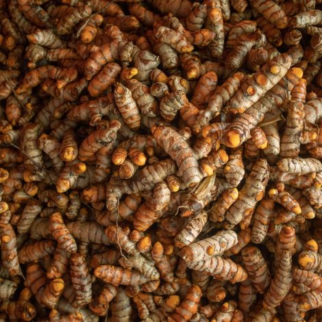 Turmeric-2