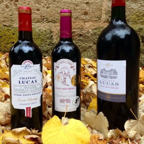 Château Lucas - Wines