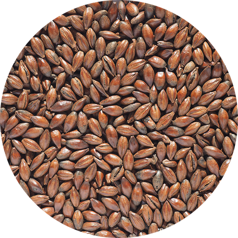 Crisp Malting Group Limited