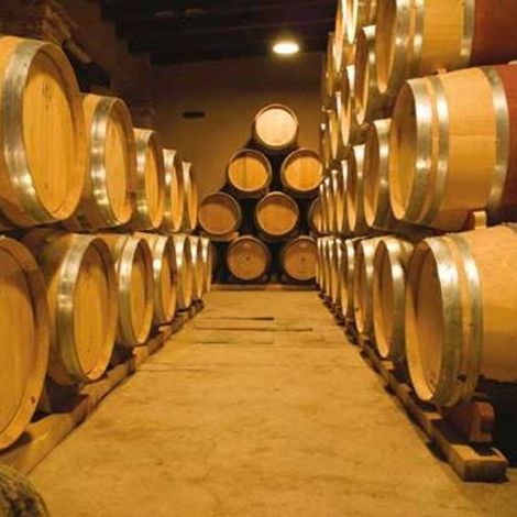 Antonio Mas Wines - Cave