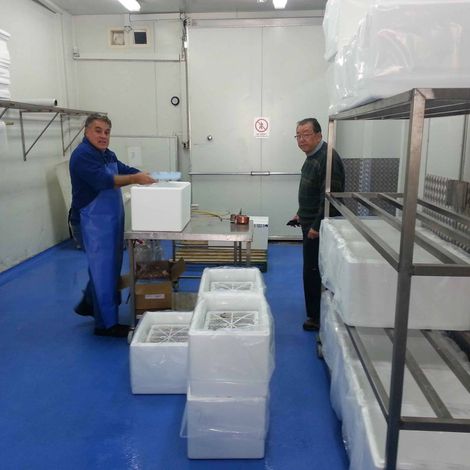 JD's Seafood Export Contractors Pty Ltd - Cold Storage