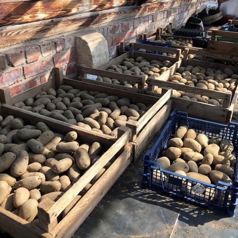 Ludlow Farmshop - Products