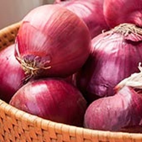 Red-Onion.jpg