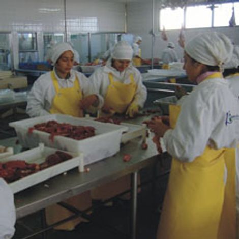 Production