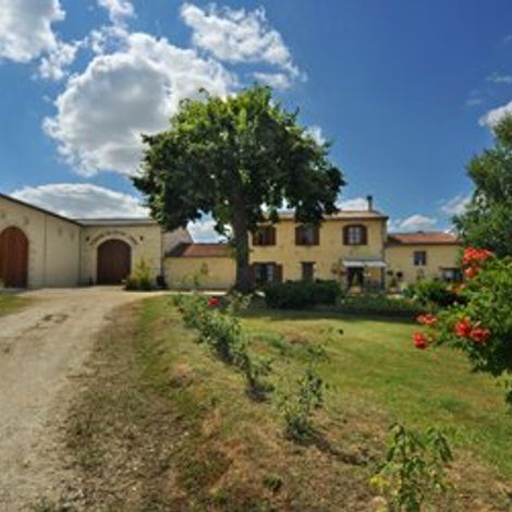 Château Franc de Rosier - Cellar