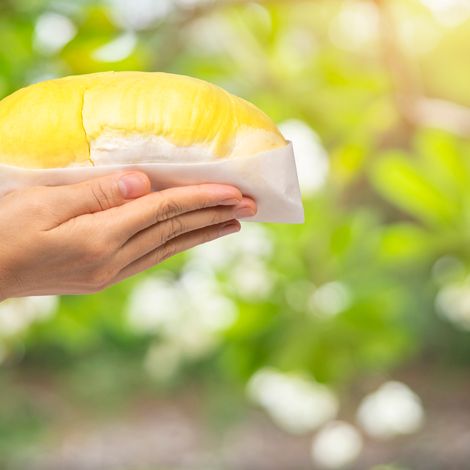 Durian Fresh Cut
