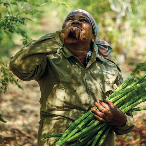 Women supporting Women in Agriculture and Trade